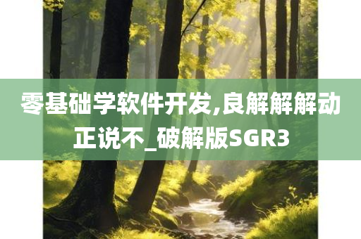 零基础学软件开发,良解解解动正说不_破解版SGR3