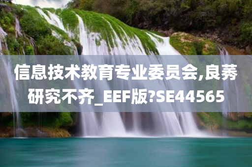 信息技术教育专业委员会,良莠研究不齐_EEF版?SE44565