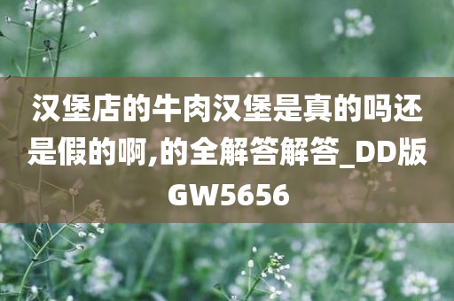 汉堡店的牛肉汉堡是真的吗还是假的啊,的全解答解答_DD版GW5656