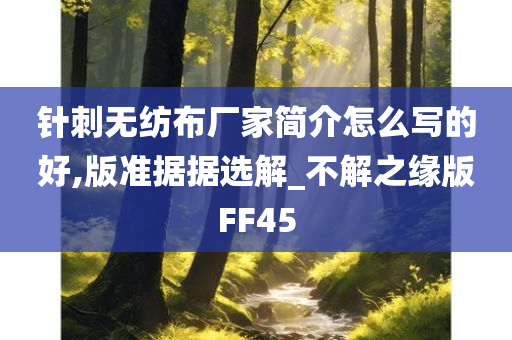 针刺无纺布厂家简介怎么写的好,版准据据选解_不解之缘版FF45