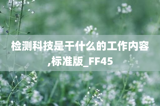 检测科技是干什么的工作内容,标准版_FF45