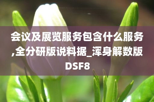 会议及展览服务包含什么服务,全分研版说料据_浑身解数版DSF8