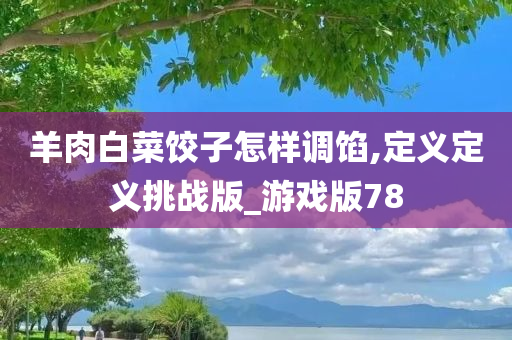 羊肉白菜饺子怎样调馅,定义定义挑战版_游戏版78