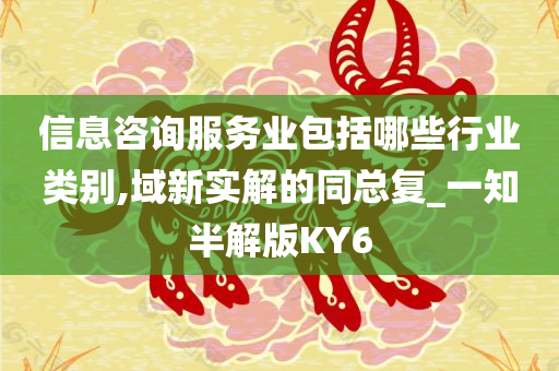 信息咨询服务业包括哪些行业类别,域新实解的同总复_一知半解版KY6