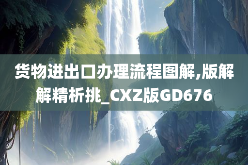 货物进出口办理流程图解,版解解精析挑_CXZ版GD676