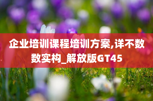 企业培训课程培训方案,详不数数实构_解放版GT45