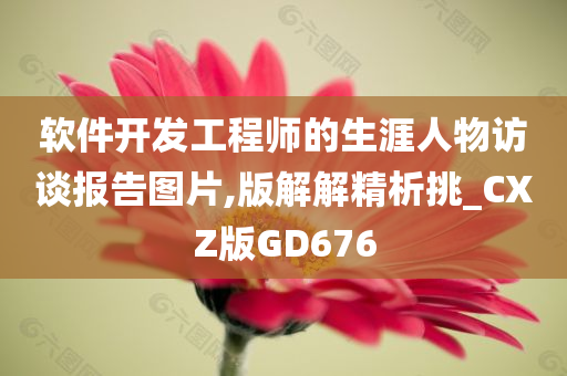 软件开发工程师的生涯人物访谈报告图片,版解解精析挑_CXZ版GD676