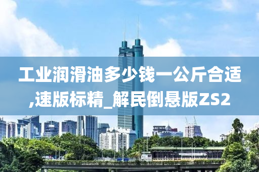 工业润滑油多少钱一公斤合适,速版标精_解民倒悬版ZS2