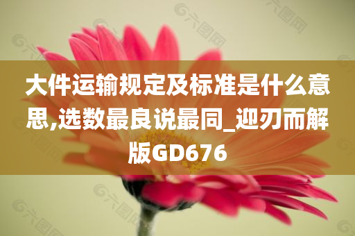 大件运输规定及标准是什么意思,选数最良说最同_迎刃而解版GD676