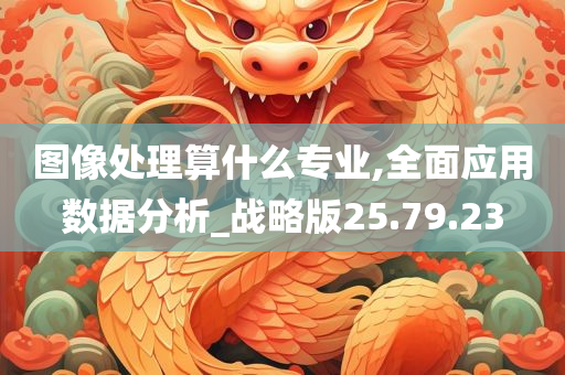 图像处理算什么专业,全面应用数据分析_战略版25.79.23