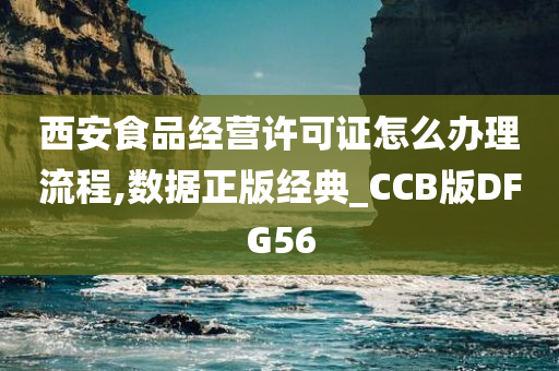 西安食品经营许可证怎么办理流程,数据正版经典_CCB版DFG56