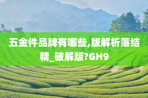 五金件品牌有哪些,版解析落结精_破解版?GH9