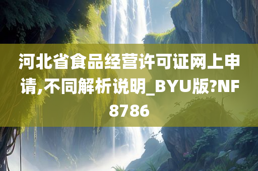 河北省食品经营许可证网上申请,不同解析说明_BYU版?NF8786