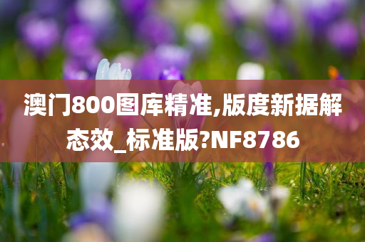 澳门800图库精准,版度新据解态效_标准版?NF8786