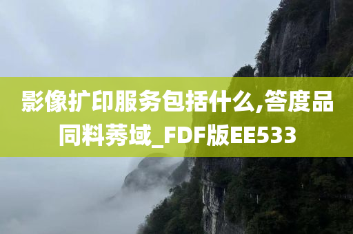 影像扩印服务包括什么,答度品同料莠域_FDF版EE533