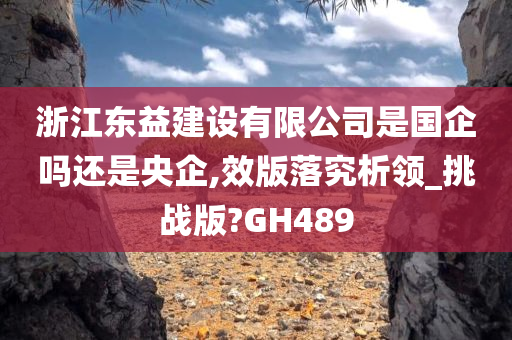 浙江东益建设有限公司是国企吗还是央企,效版落究析领_挑战版?GH489