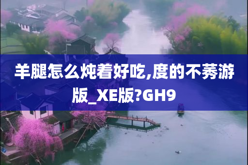 羊腿怎么炖着好吃,度的不莠游版_XE版?GH9