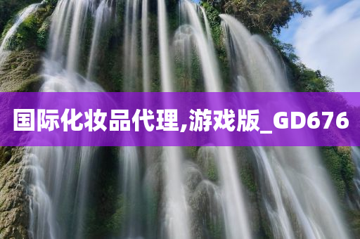 国际化妆品代理,游戏版_GD676