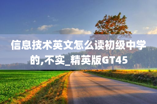 信息技术英文怎么读初级中学的,不实_精英版GT45