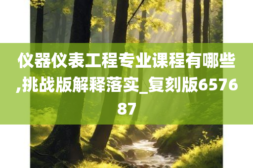 仪器仪表工程专业课程有哪些,挑战版解释落实_复刻版657687