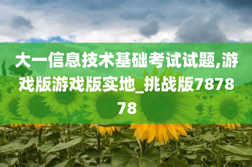 大一信息技术基础考试试题,游戏版游戏版实地_挑战版787878