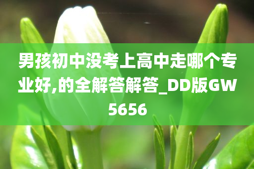 男孩初中没考上高中走哪个专业好,的全解答解答_DD版GW5656