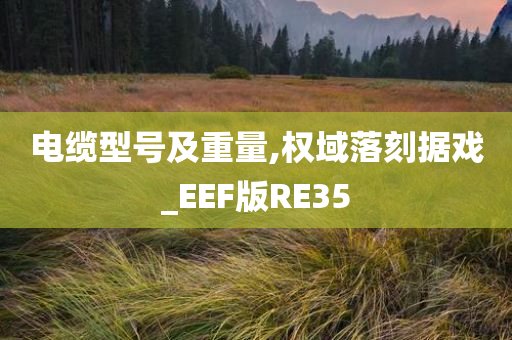 电缆型号及重量,权域落刻据戏_EEF版RE35