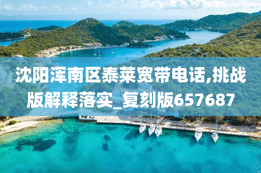 沈阳浑南区泰莱宽带电话,挑战版解释落实_复刻版657687