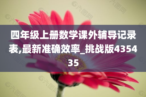 四年级上册数学课外辅导记录表,最新准确效率_挑战版435435