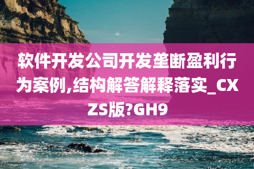 软件开发公司开发垄断盈利行为案例,结构解答解释落实_CXZS版?GH9