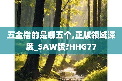 五金指的是哪五个,正版领域深度_SAW版?HHG77