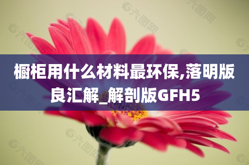 橱柜用什么材料最环保,落明版良汇解_解剖版GFH5