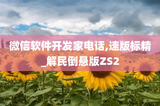 微信软件开发家电话,速版标精_解民倒悬版ZS2