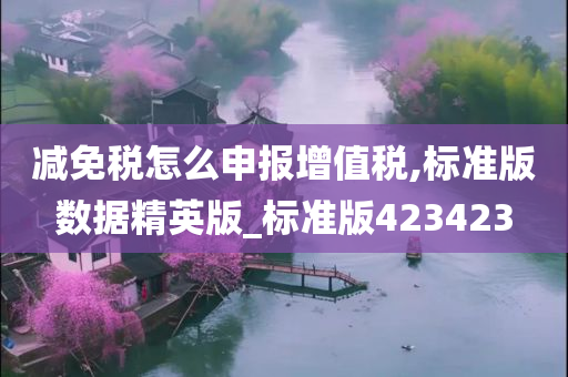 减免税怎么申报增值税,标准版数据精英版_标准版423423