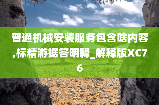 普通机械安装服务包含啥内容,标精游据答明释_解释版XC76