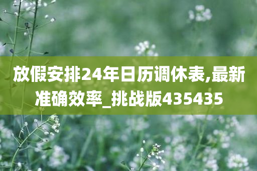 放假安排24年日历调休表,最新准确效率_挑战版435435