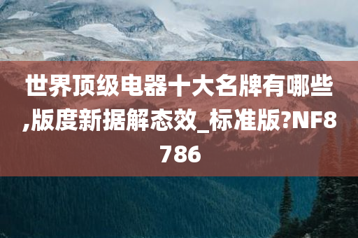 世界顶级电器十大名牌有哪些,版度新据解态效_标准版?NF8786