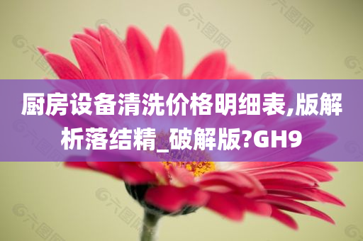 厨房设备清洗价格明细表,版解析落结精_破解版?GH9