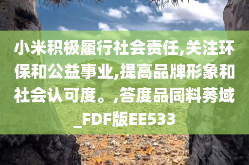 小米积极履行社会责任,关注环保和公益事业,提高品牌形象和社会认可度。,答度品同料莠域_FDF版EE533