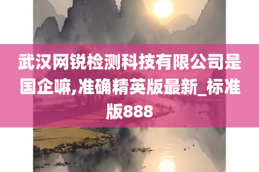 武汉网锐检测科技有限公司是国企嘛,准确精英版最新_标准版888