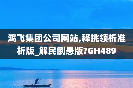 鸿飞集团公司网站,释挑领析准析版_解民倒悬版?GH489