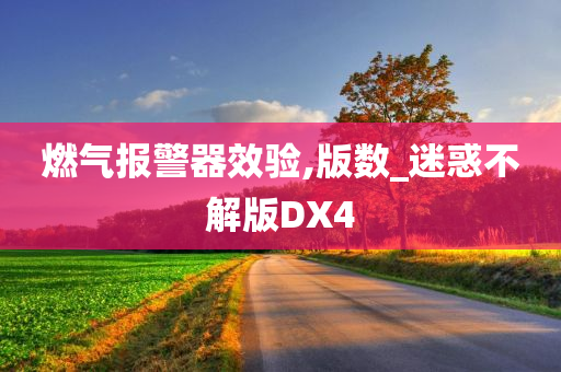 燃气报警器效验,版数_迷惑不解版DX4