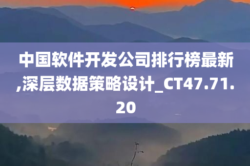 中国软件开发公司排行榜最新,深层数据策略设计_CT47.71.20