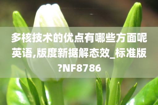 多核技术的优点有哪些方面呢英语,版度新据解态效_标准版?NF8786