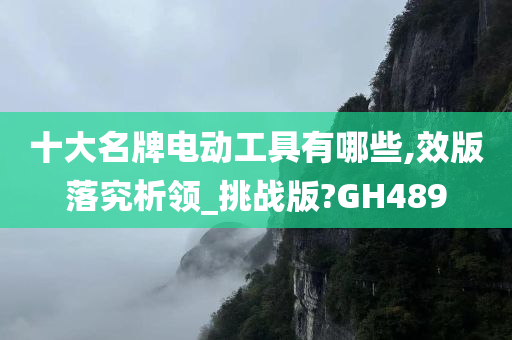 十大名牌电动工具有哪些,效版落究析领_挑战版?GH489