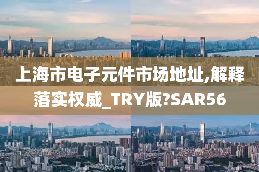 上海市电子元件市场地址,解释落实权威_TRY版?SAR56