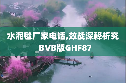 水泥毯厂家电话,效战深释析究_BVB版GHF87