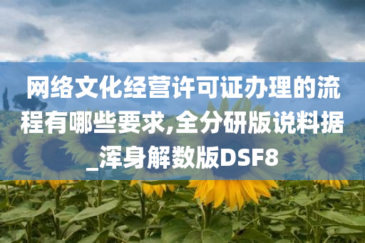 网络文化经营许可证办理的流程有哪些要求,全分研版说料据_浑身解数版DSF8