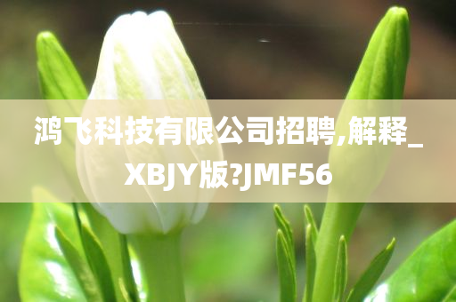 鸿飞科技有限公司招聘,解释_XBJY版?JMF56