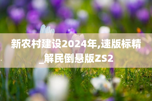 新农村建设2024年,速版标精_解民倒悬版ZS2